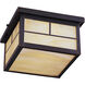Coldwater 2 Light 9.25 inch Burnished Outdoor Flush Mount in Honey