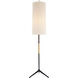AERIN Frankfort 60 inch 100 watt Aged Iron Floor Lamp Portable Light
