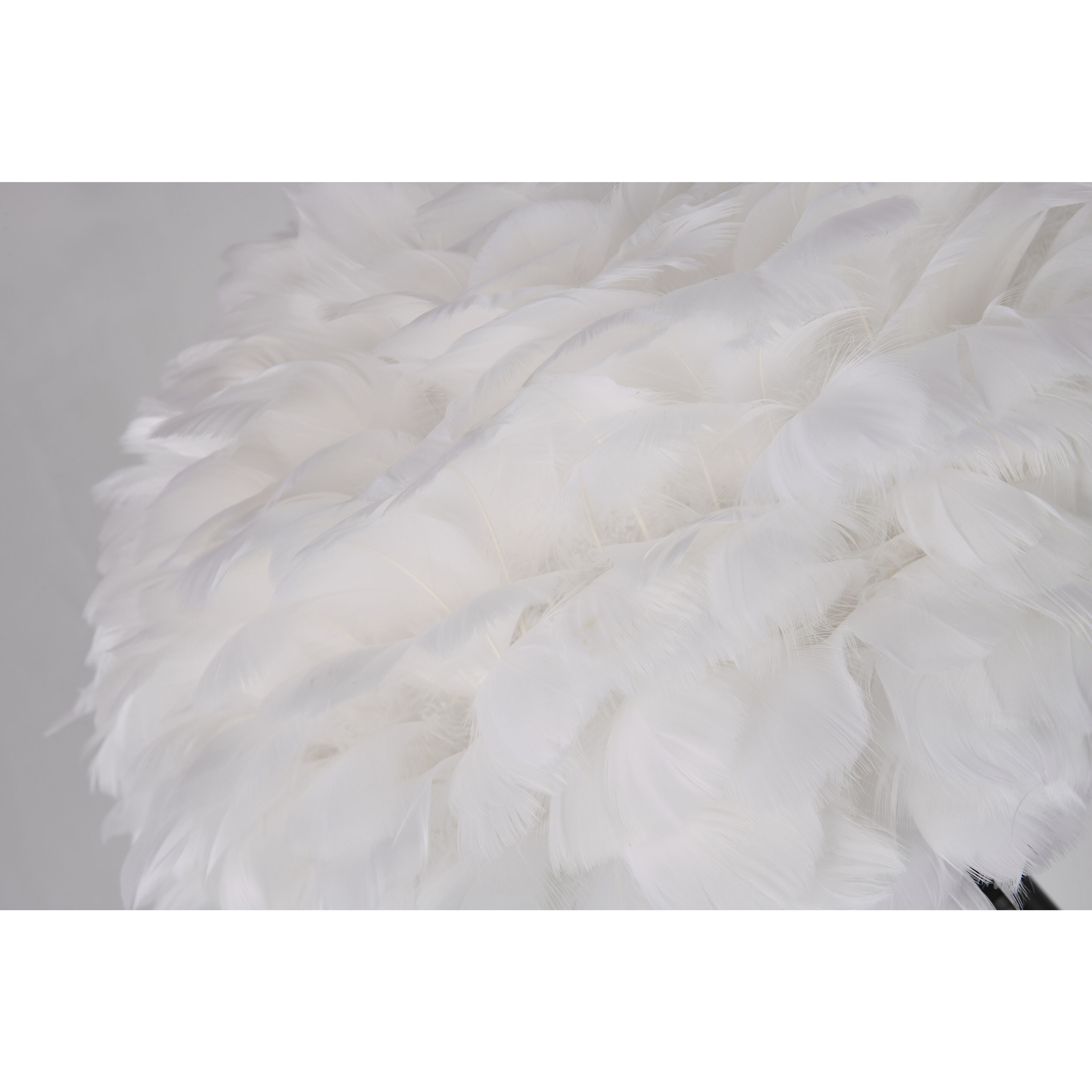 Canada 55 inch 60.00 watt Black Floor Lamp Portable Light