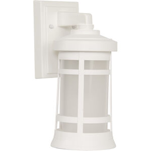 Resilience Lantern 1 Light 6.00 inch Outdoor Wall Light