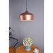 Nora 1 Light 11.5 inch Honey Gold Pendant Ceiling Light