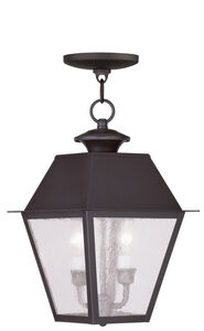 Mansfield 2 Light 9.00 inch Outdoor Pendant/Chandelier