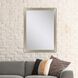 Mirror Collection 41 X 29 inch Metallic Wall Mirror
