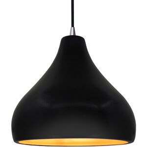 Radiance 1 Light 13.5 inch Carbon Matte Black and Champagne Gold and Brushed Nickel Pendant Ceiling Light