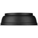 Rebel 2 Light 13.75 inch Matte Black Flush Mount Ceiling Light