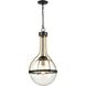 Vispon 1 Light 14 inch Matte Black with Burnished Brass Pendant Ceiling Light