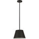 Maddox 1 Light 12 inch Matte Black Pendant Ceiling Light