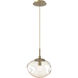 Nova LED LED 10 inch Gilded Brass Pendant Ceiling Light in 3000K LED, Floret Inner - Amber Outer