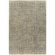 Reign 108 X 72 inch Sage Rug in 6 X 9, Rectangle