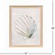 Serenity Shells Blue and Neutral Framed Art, Propac