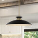 Perkins 1 Light 24 inch Matte Black/Burnished Brass Pendant Ceiling Light