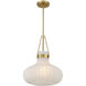Traditional 1 Light 15 inch Natural Brass Pendant Ceiling Light