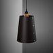 Hooked Wall Light in Graphite / Brass