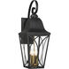 Cardigan Outdoor Wall Mount in Sand Coal and Olden Brass, Great Outdoors