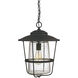 Creekside 1 Light 13 inch Black Outdoor Hanging Lantern