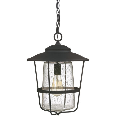 Creekside 1 Light 13 inch Black Outdoor Hanging Lantern