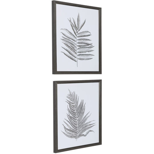 Silver Ferns 39 X 29 inch Framed Prints, Set of 2