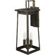Alden 3 Light 10.00 inch Outdoor Wall Light