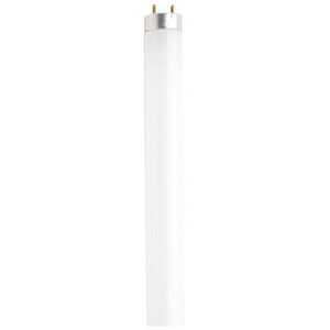 Lumos Fluorescent T8 Medium Bi Pin G13 15 watt Light Bulb