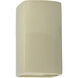 Ambiance Rectangle LED 9.5 inch Vanilla Gloss Outdoor Wall Sconce, Small