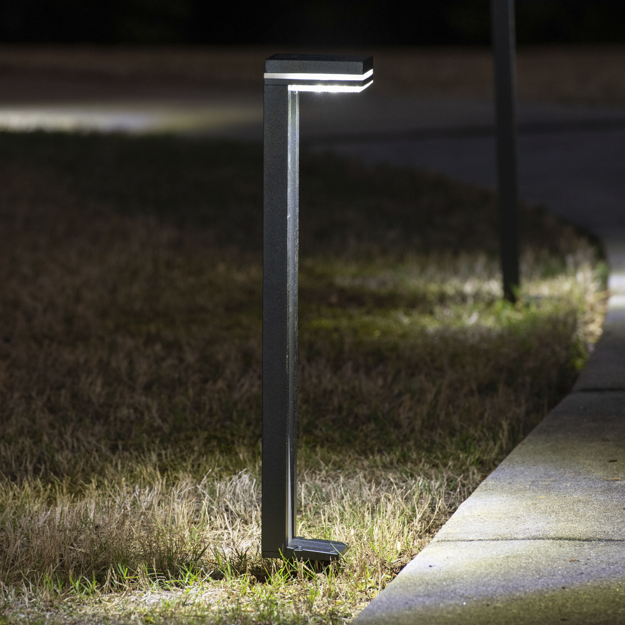 Sentry Black Landscape and Pathway Light, Solar