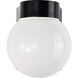 Brentwood 1 Light 7 inch Bronzotic Outdoor Wall Mount