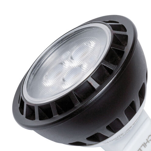 Independence 12 4.00 watt Landscape 12V Led Lamps