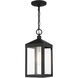 Nyack 1 Light 6 inch Black with Brushed Nickel Cluster Outdoor Pendant Lantern