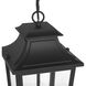 Spring Cove 3 Light 8 inch Matte Black Outdoor Pendant, Large