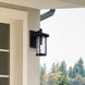 Leon 1 Light Black Outdoor Wall Light