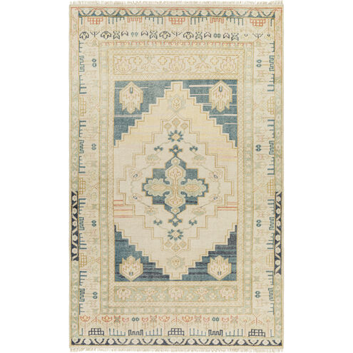 Anadolu 168 X 120 inch Light Grey Rug in 10 x 14, Rectangle