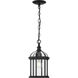 Dillard 1 Light 8 inch Textured Black Outdoor Hanging Lantern