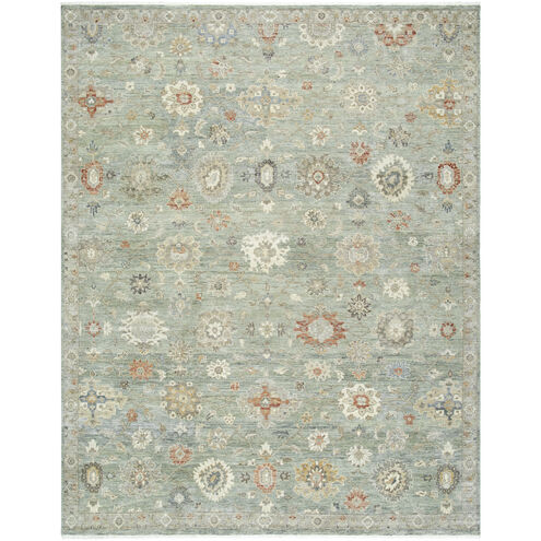 Anatolia 168 X 120 inch Ash / Sage Handmade Rug in 10 x 14