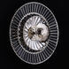 Rosetta Wall Sconce Wall Light in Polished Nickel