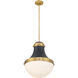 Purelight 1 Light 16.25 inch Legacy Brass and Dark Matte Black Pendant Ceiling Light