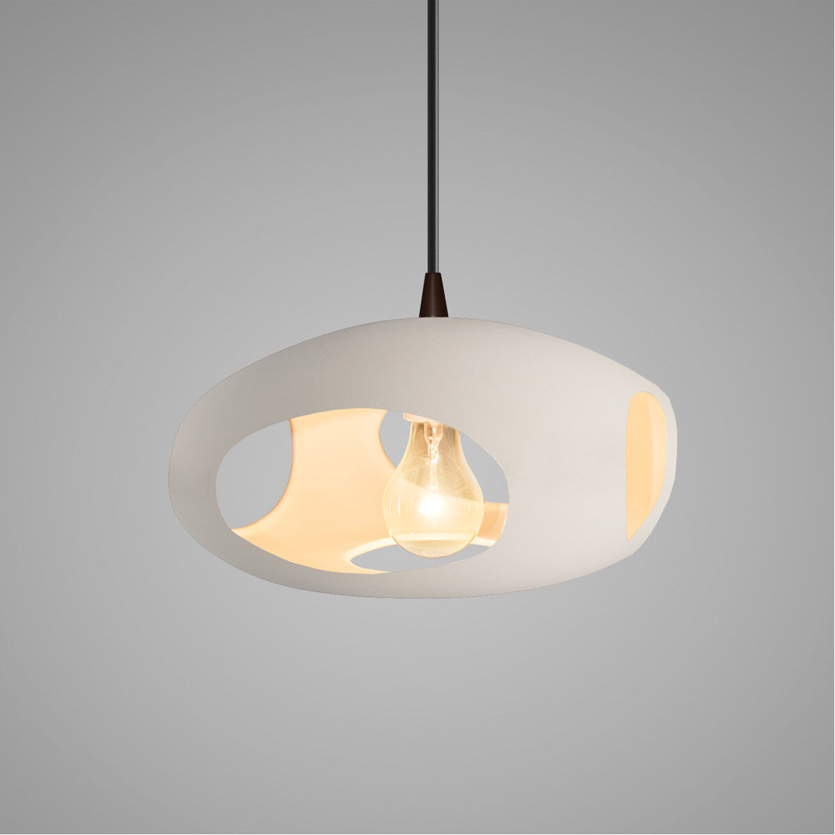 Radiance 1 Light 12 inch Pendant Ceiling Light