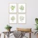 Culinary Collection Green Framed Art