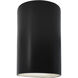 Ambiance Collection LED 12.5 inch Carbon Matte Black Outdoor Wall Sconce