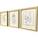 Garden Study Green and Pink and Multi and Yellow Framed Art