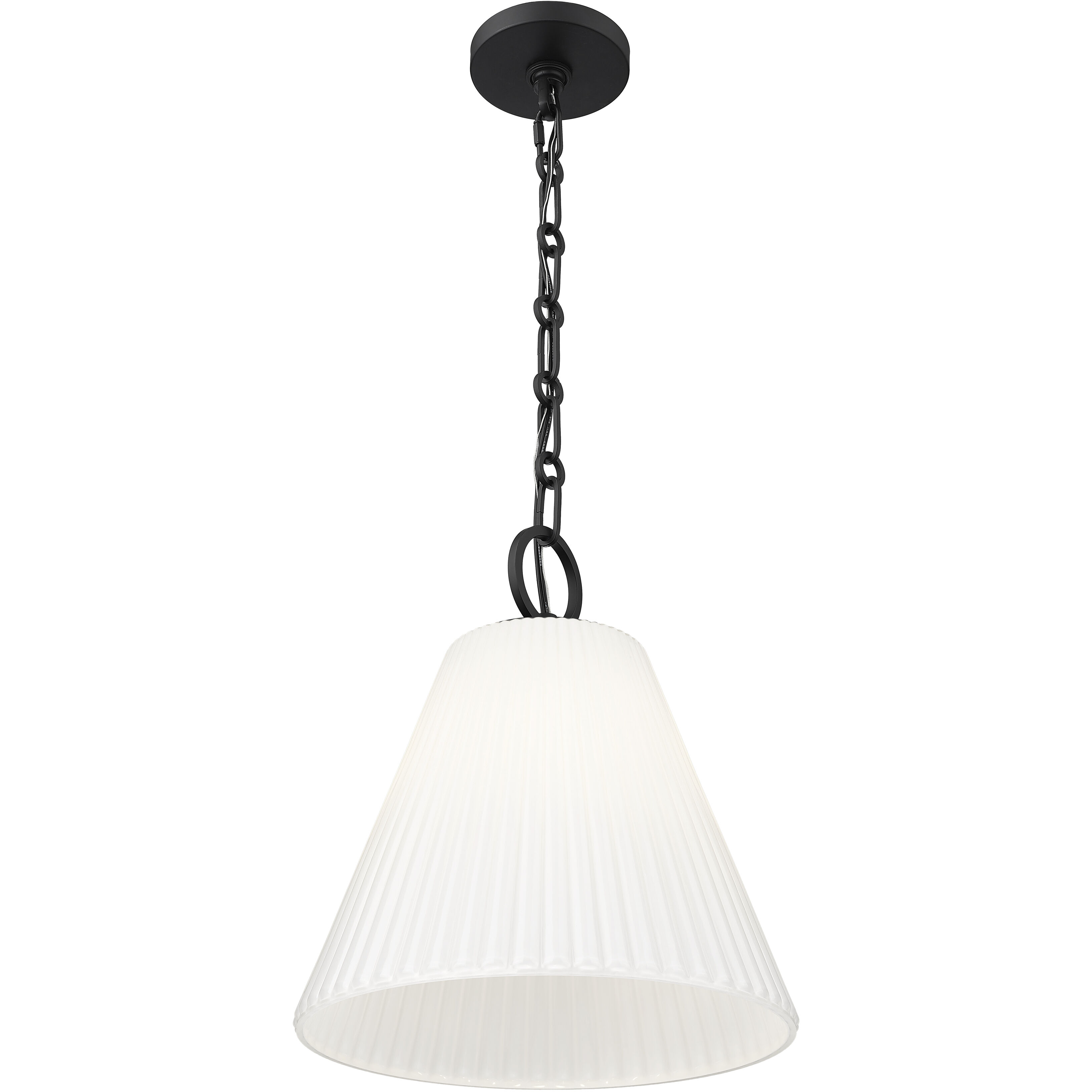Alaric 1 Light 14 inch Matte Black Pendant Ceiling Light