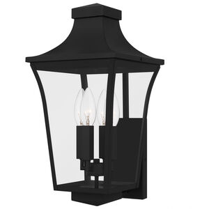 Quentin 4 Light 20 inch Earth Black Outdoor Wall Lantern, Large