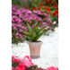 Spitzer 13 inch Vase