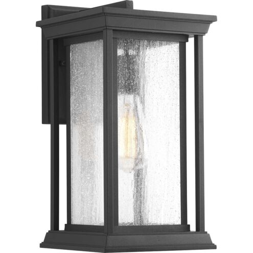 Endicott 1 Light 14.25 inch Textured Black Outdoor Wall Lantern, Medium