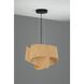 Carlotta 1 Light 16.9 inch Black Pendant Ceiling Light in Ash, WEP Collection