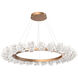 Blossom LED Novel Brass Chandelier Ceiling Light, Ring