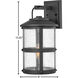 Estate Series Lakehouse LED 17 inch Black Outdoor Wall Mount Lantern, Medium