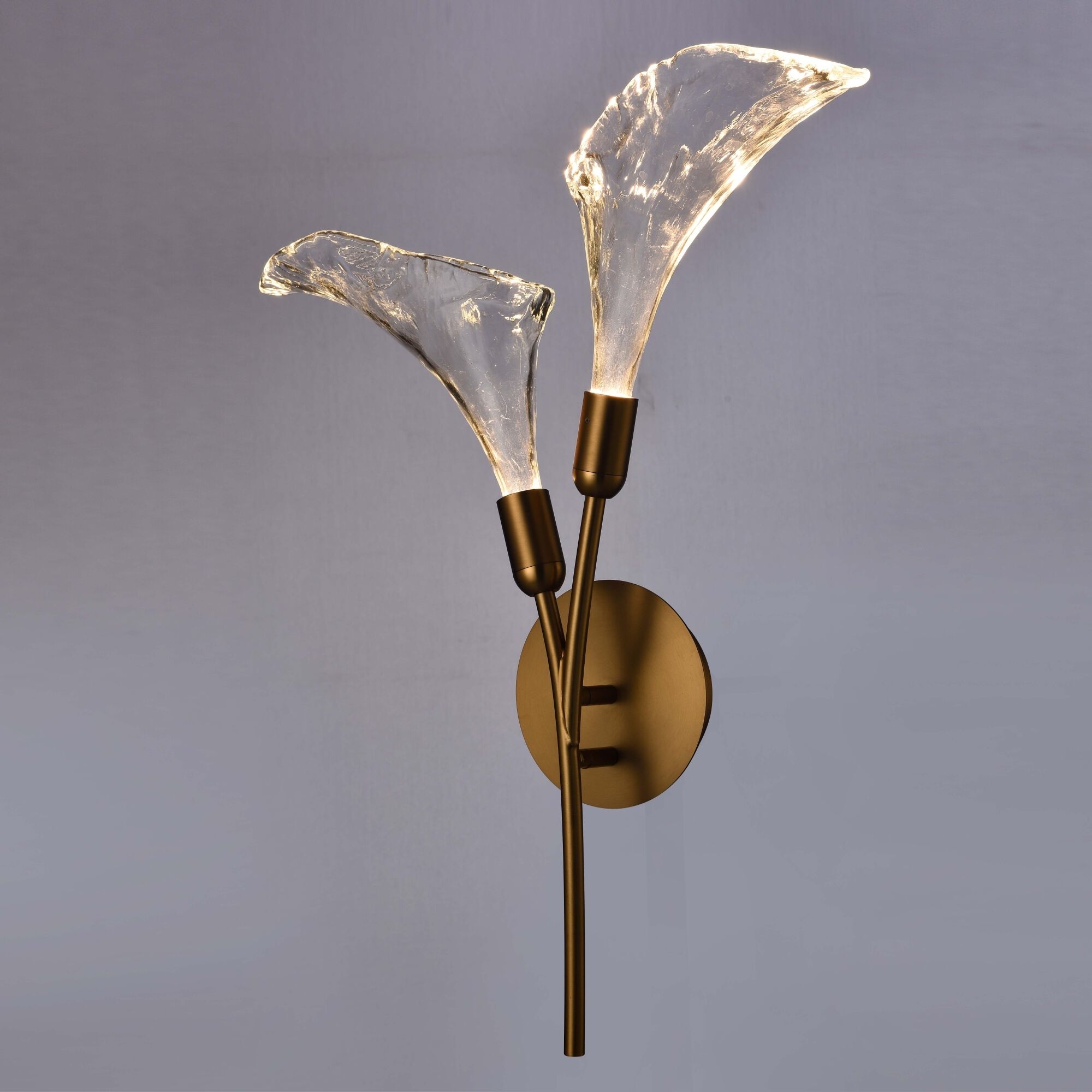 Calla 2 Light 5 inch Satin Brass Sconce Wall Light