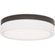 Cirque 11 inch Charcoal Outdoor Flush Ceiling Wall