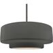 Radiance LED 16.25 inch Brushed Nickel and Gloss Gray Pendant Ceiling Light