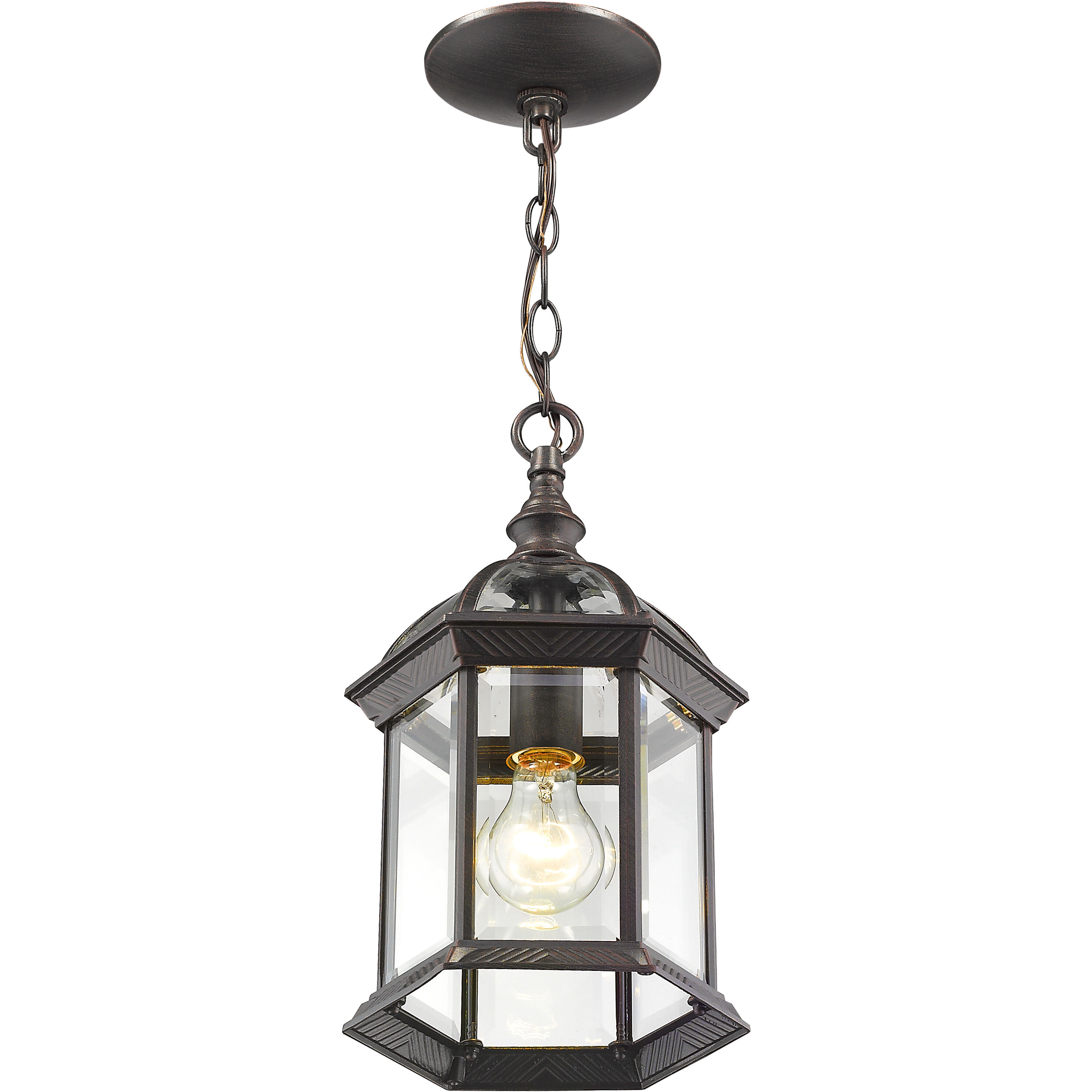 Annex 1 Light 8 inch Rust Outdoor Chain Mount Ceiling Fixture